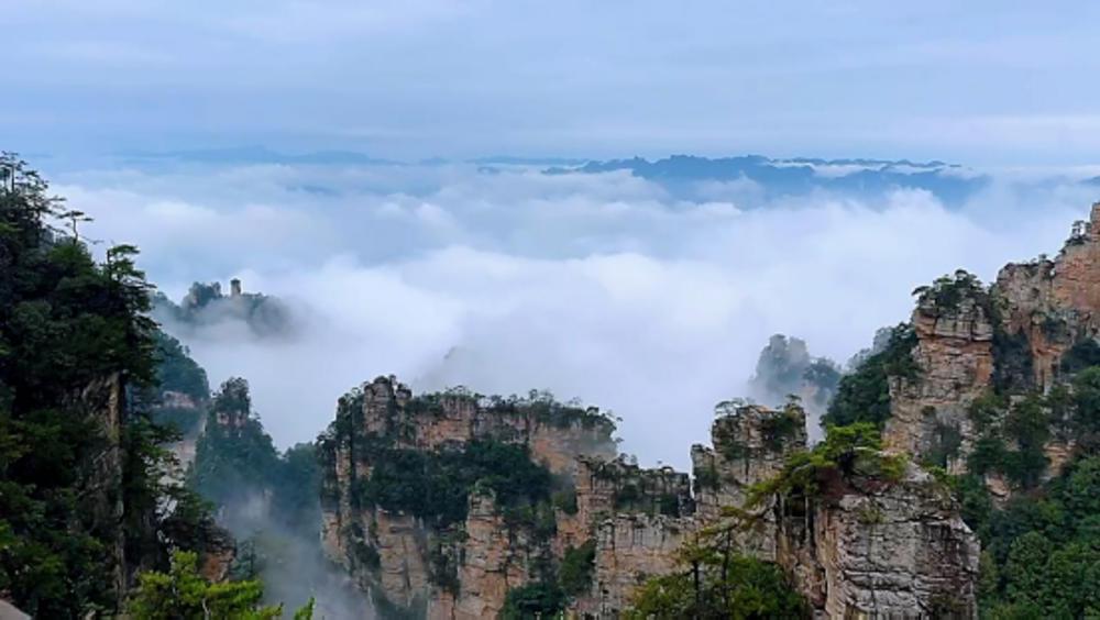 雨后楊家界云海翻涌，峰墻奇景引客來(lái)